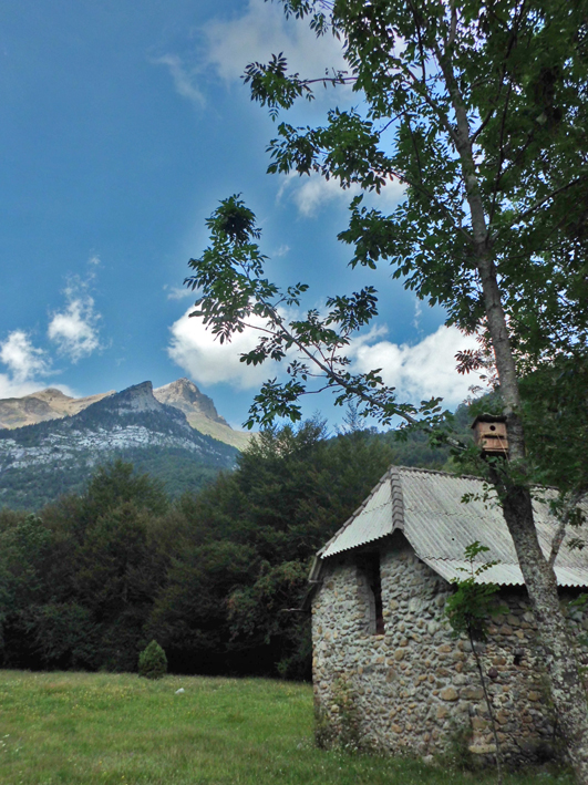Caseta de pastores en Pineta