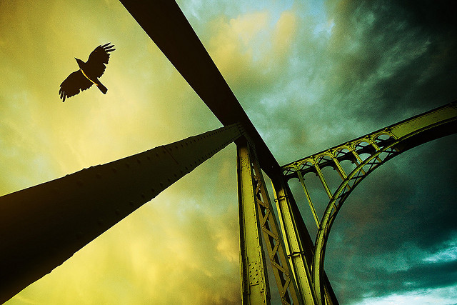 3726138602_0f845e0157_z