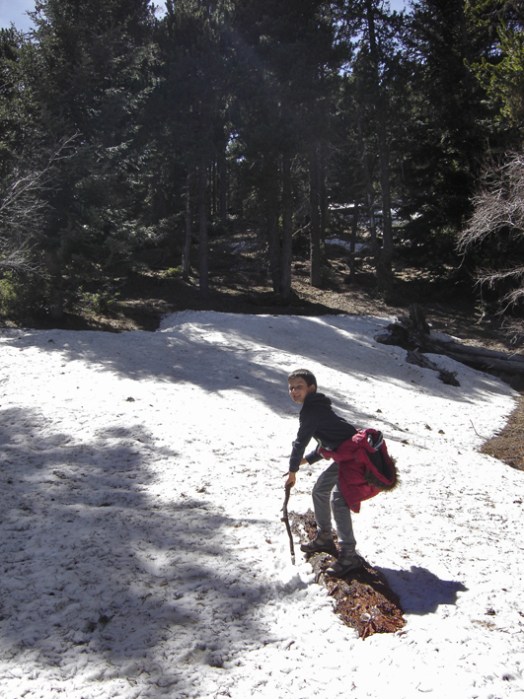 Camino del Pla de la Font