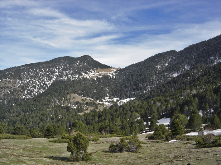 Pla de la Font - Les Planes de Son